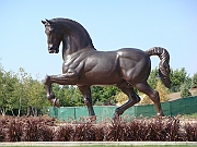 Western Michigan [2009] 320